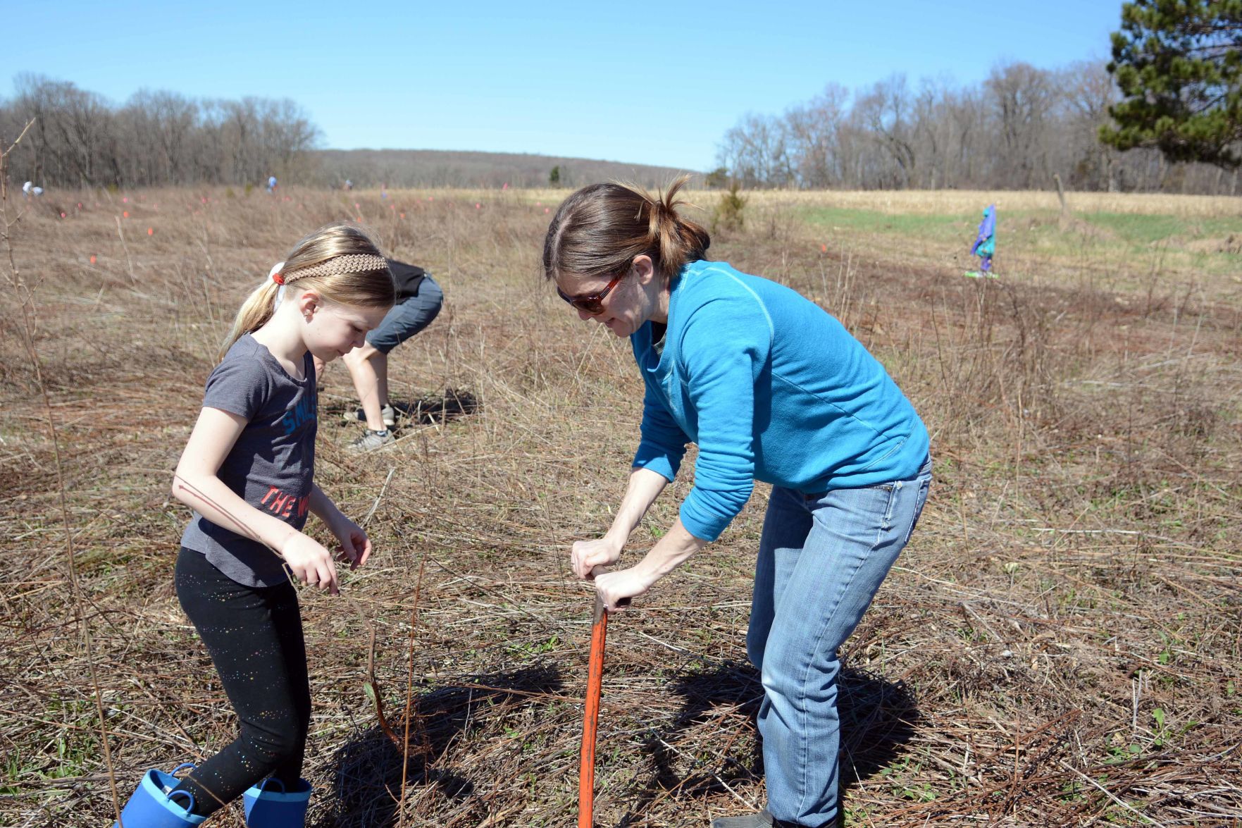 Earth Day tree planting in Baraboo Hills, April 20